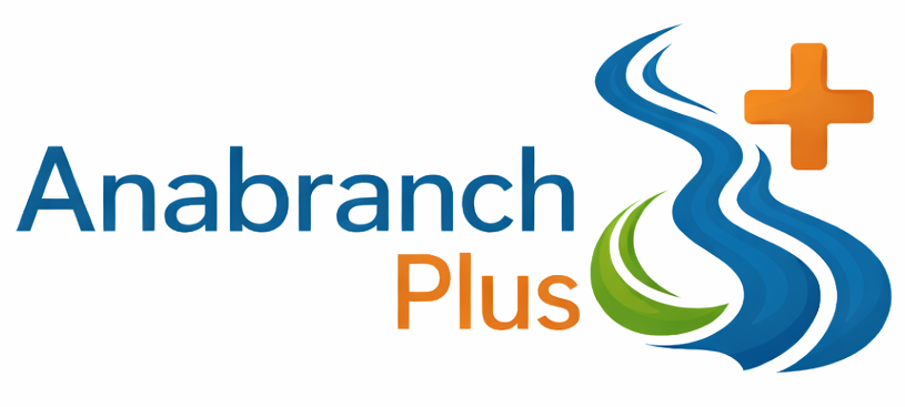Anabranch Plus logo — flowing river and plus symbol